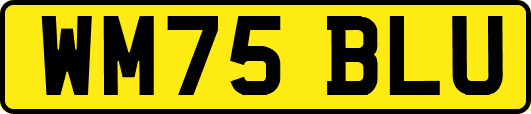 WM75BLU
