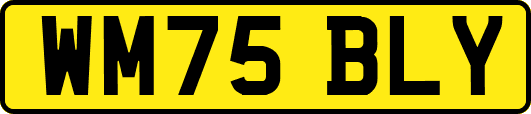 WM75BLY