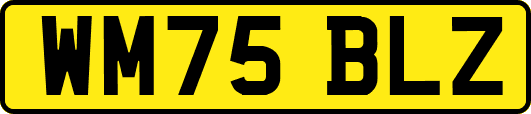 WM75BLZ