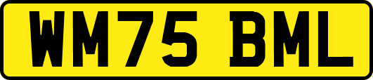 WM75BML