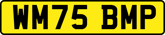 WM75BMP