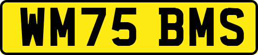 WM75BMS
