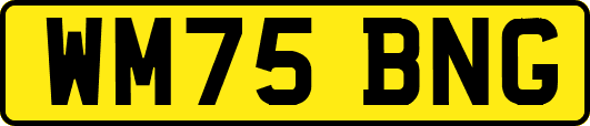 WM75BNG
