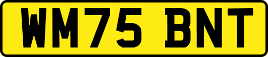 WM75BNT