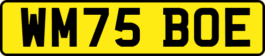 WM75BOE