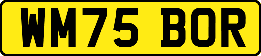 WM75BOR