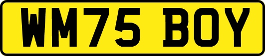 WM75BOY