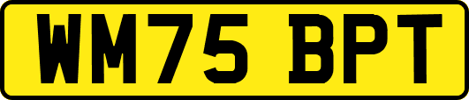 WM75BPT