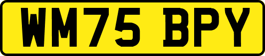 WM75BPY