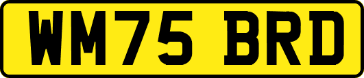 WM75BRD