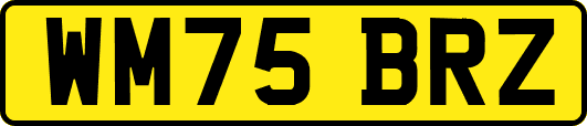 WM75BRZ