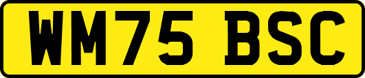 WM75BSC