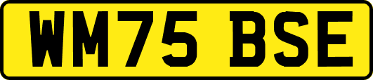 WM75BSE
