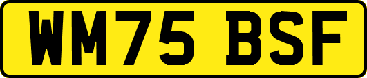 WM75BSF