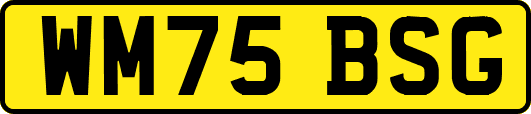 WM75BSG