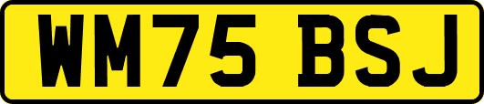 WM75BSJ