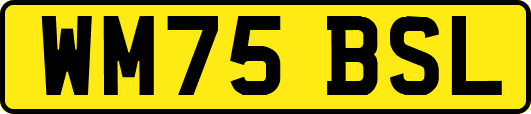 WM75BSL