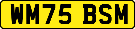 WM75BSM