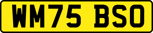 WM75BSO
