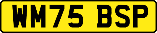 WM75BSP