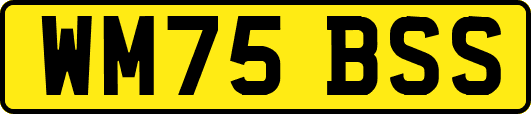 WM75BSS
