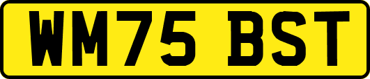 WM75BST