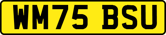 WM75BSU