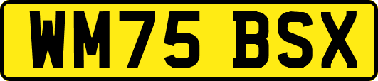 WM75BSX