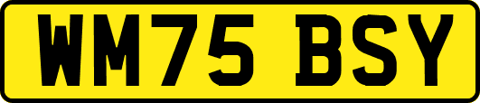 WM75BSY