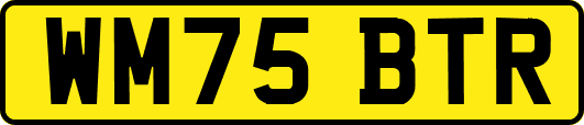 WM75BTR