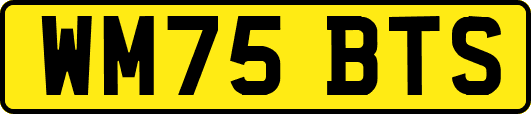 WM75BTS