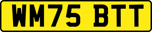 WM75BTT
