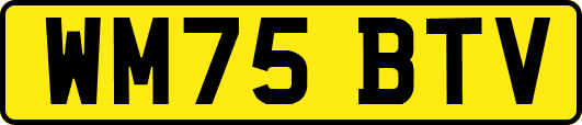 WM75BTV