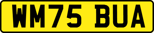 WM75BUA