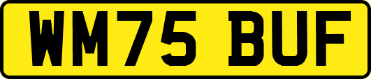 WM75BUF
