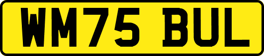 WM75BUL