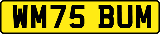 WM75BUM