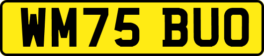 WM75BUO
