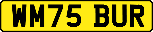 WM75BUR