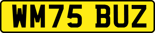 WM75BUZ