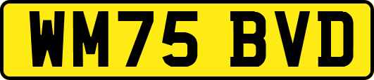 WM75BVD