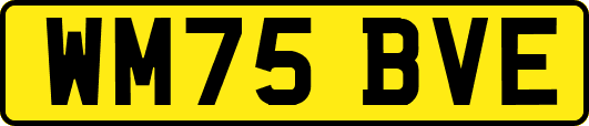 WM75BVE