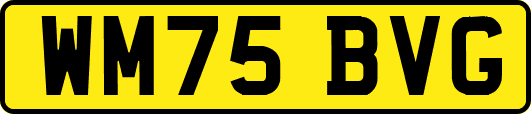WM75BVG