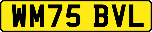 WM75BVL