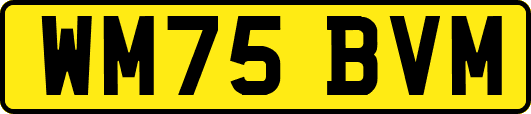 WM75BVM