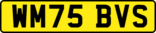 WM75BVS