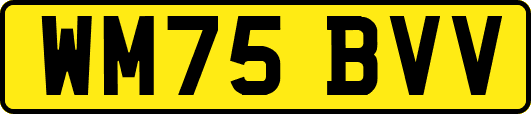 WM75BVV
