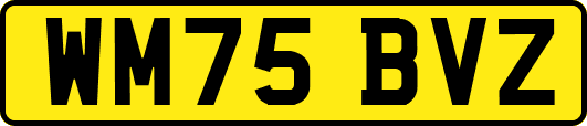 WM75BVZ