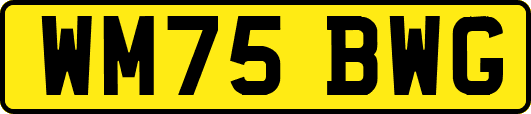 WM75BWG