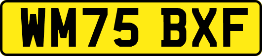 WM75BXF